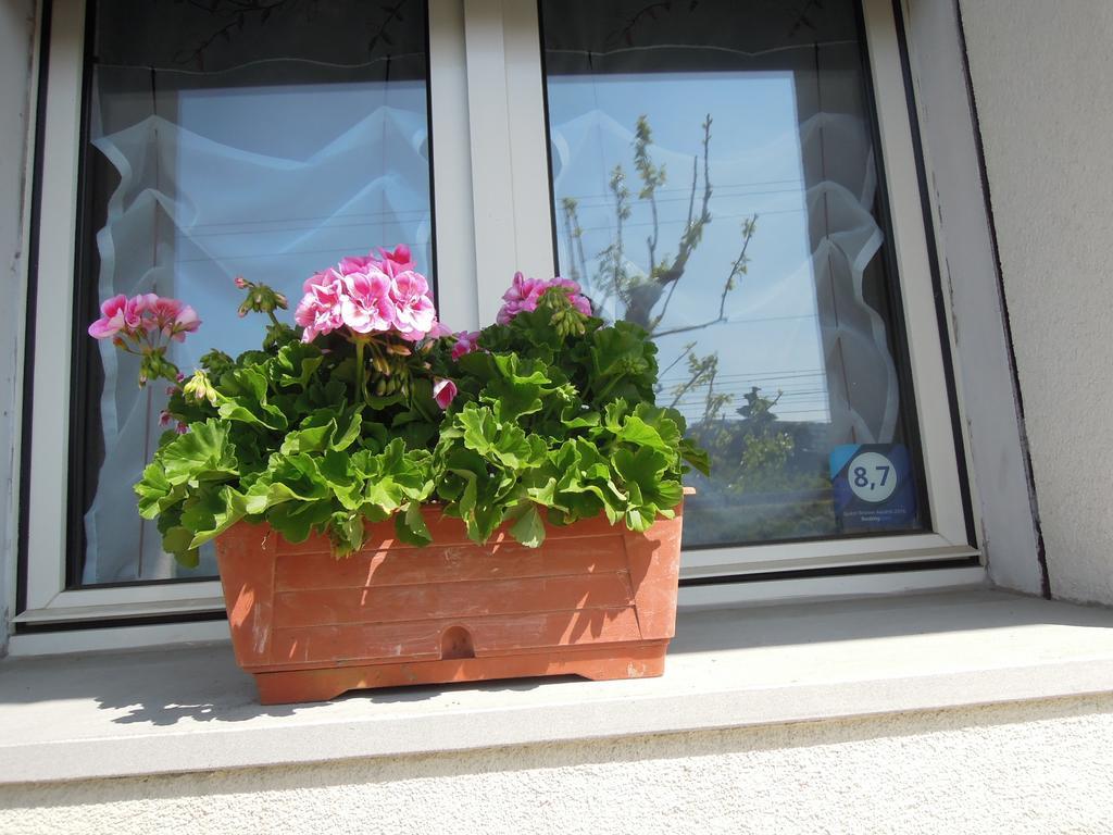 B&B Carlotta Bologna Exterior photo